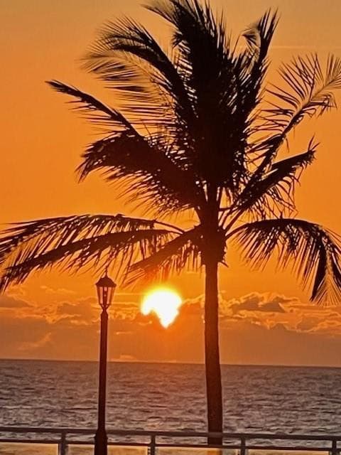 3900 Galt Ocean Drive 511, Fort Lauderdale, FL 33308 — photo 51 of 56
