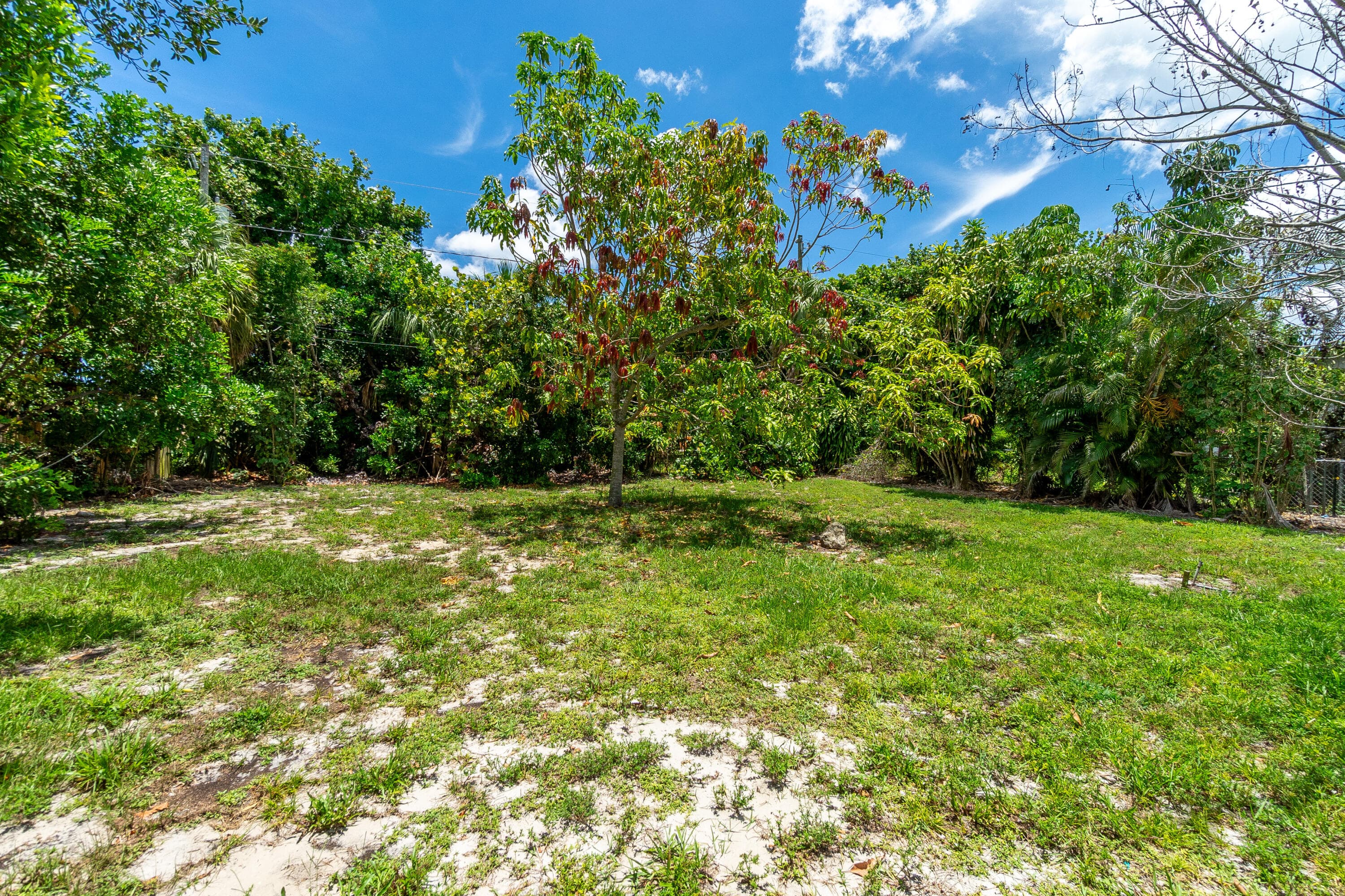 229 SW 4th Avenue, Delray Beach, FL 33444 — photo 9 of 22
