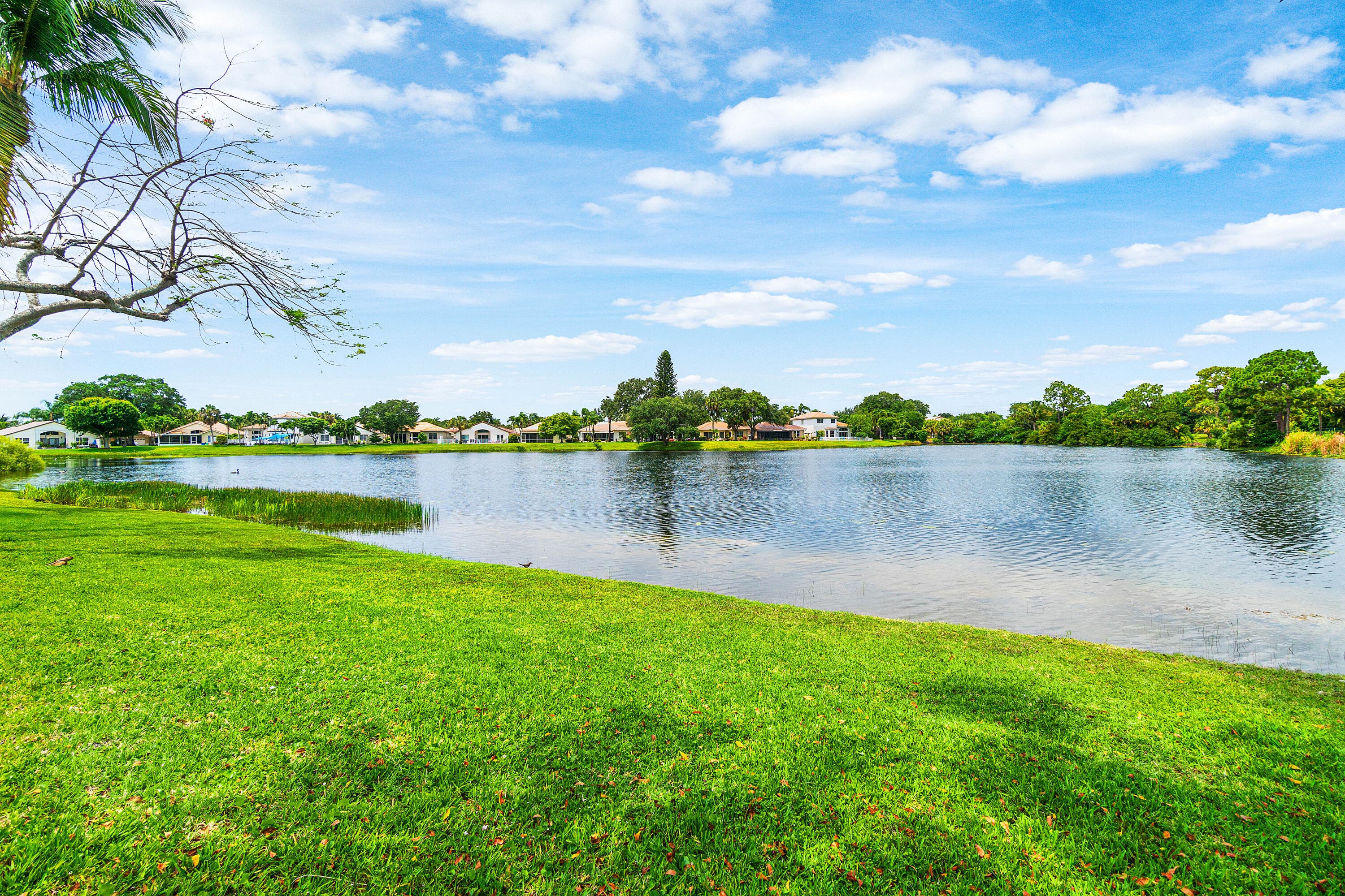 4180 Manor Forest Trail, Boynton Beach, FL 33436 — photo 43 of 46