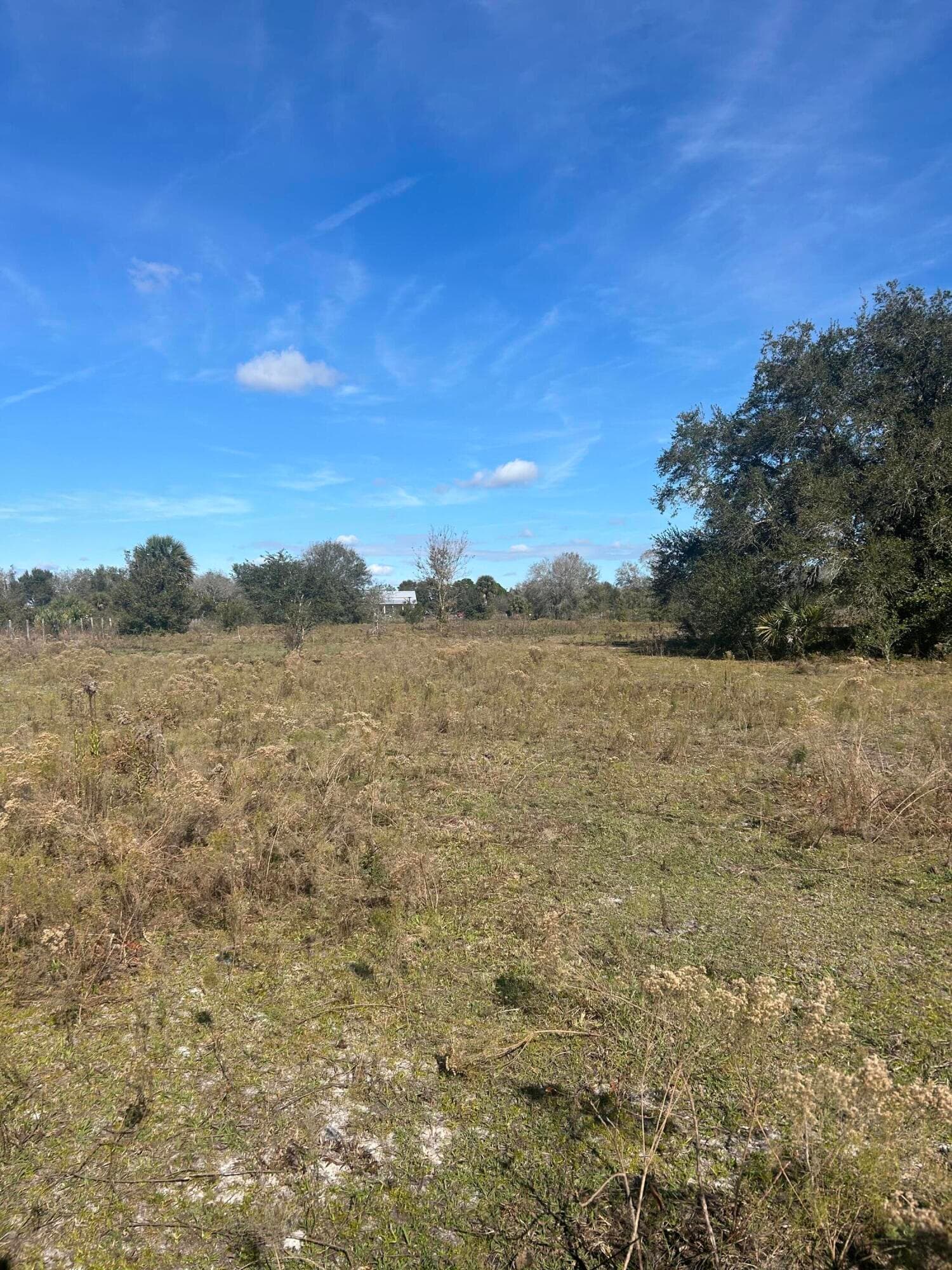 18034 NW 286th Street, Okeechobee, FL 34972 — photo 7 of 9