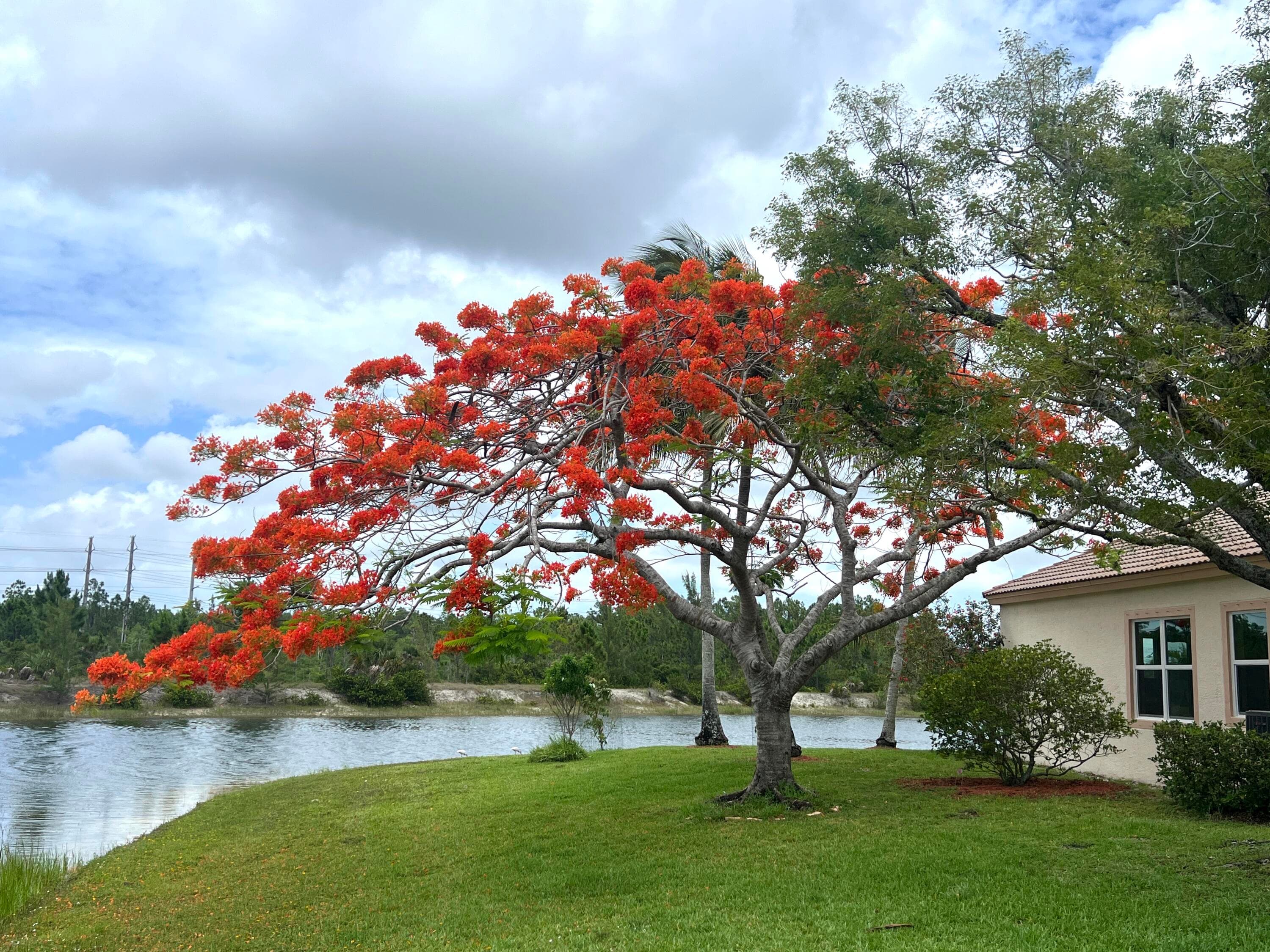 4552 N San Andros, West Palm Beach, FL 33411 — photo 3 of 46