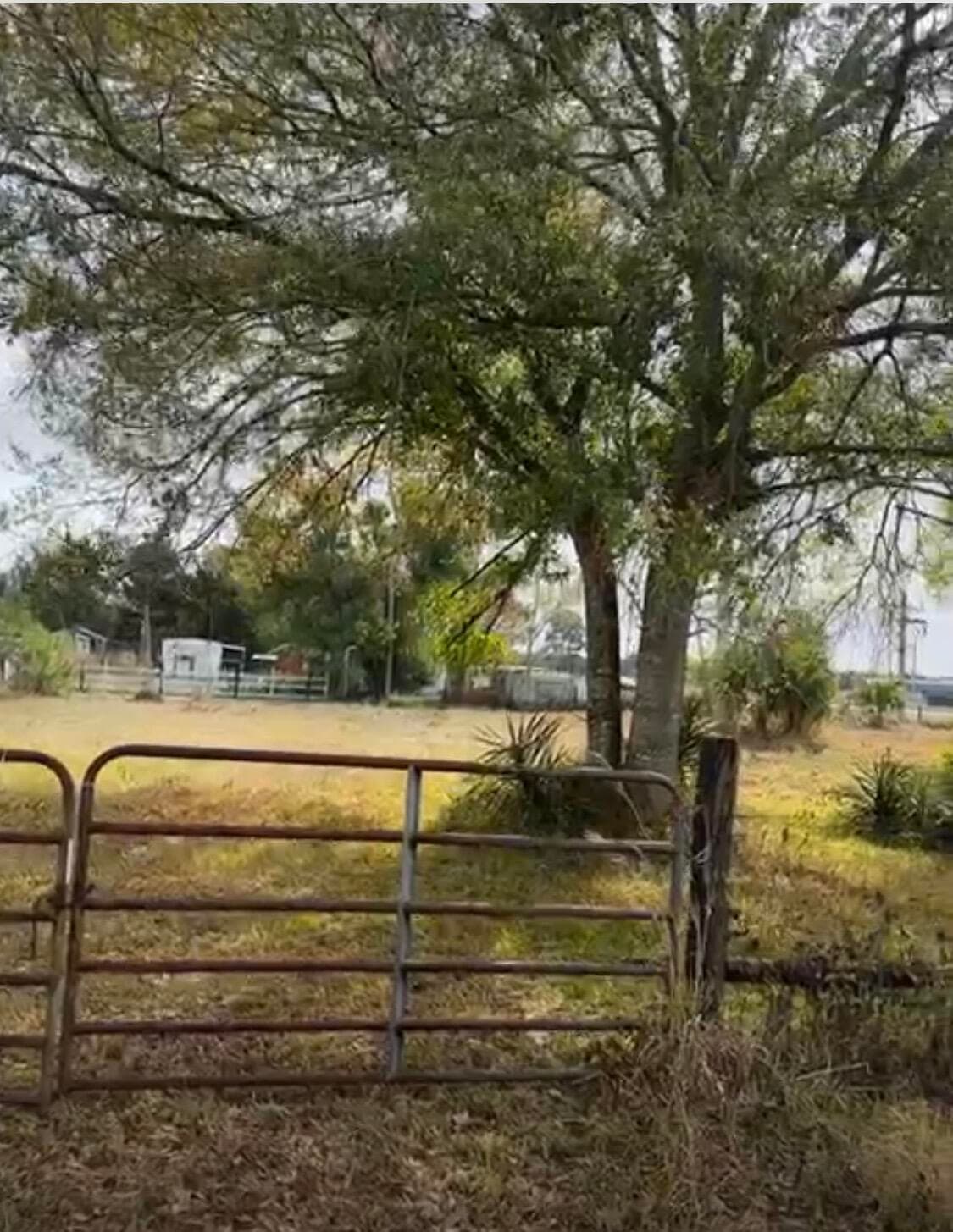 854 NE 42nd Terrace, Okeechobee, FL 34972 — photo 3 of 7