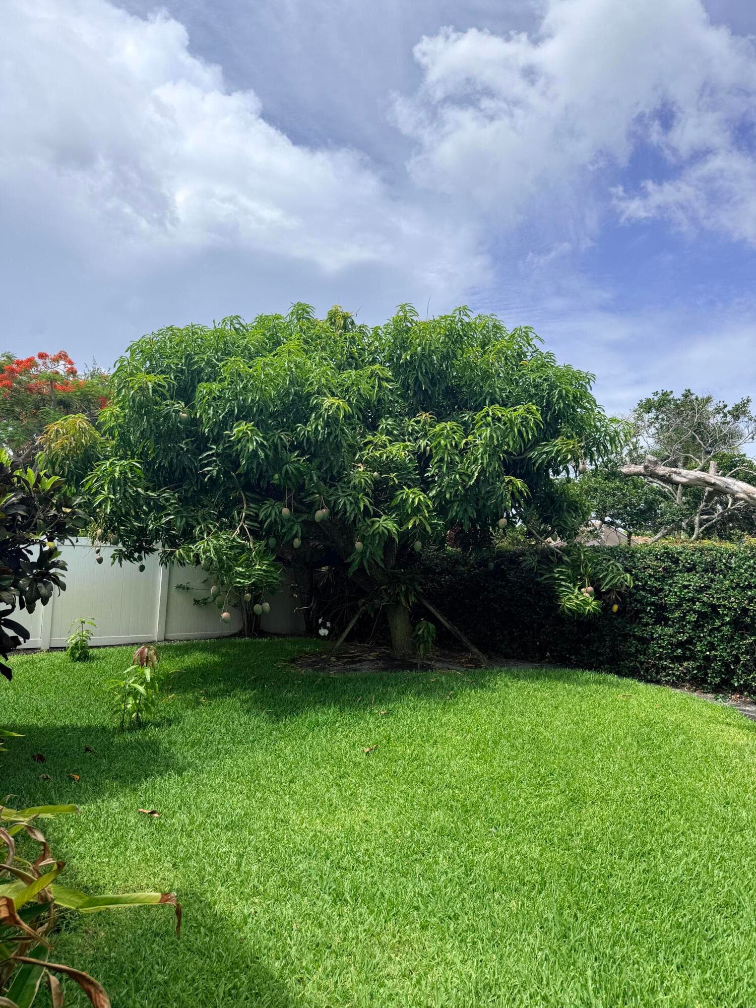 3509 NW 26th Court, Boca Raton, FL 33434 — photo 34 of 39