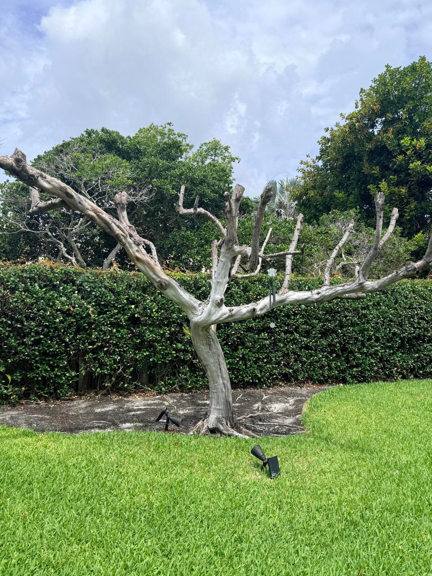 3509 NW 26th Court, Boca Raton, FL 33434 — photo 35 of 39