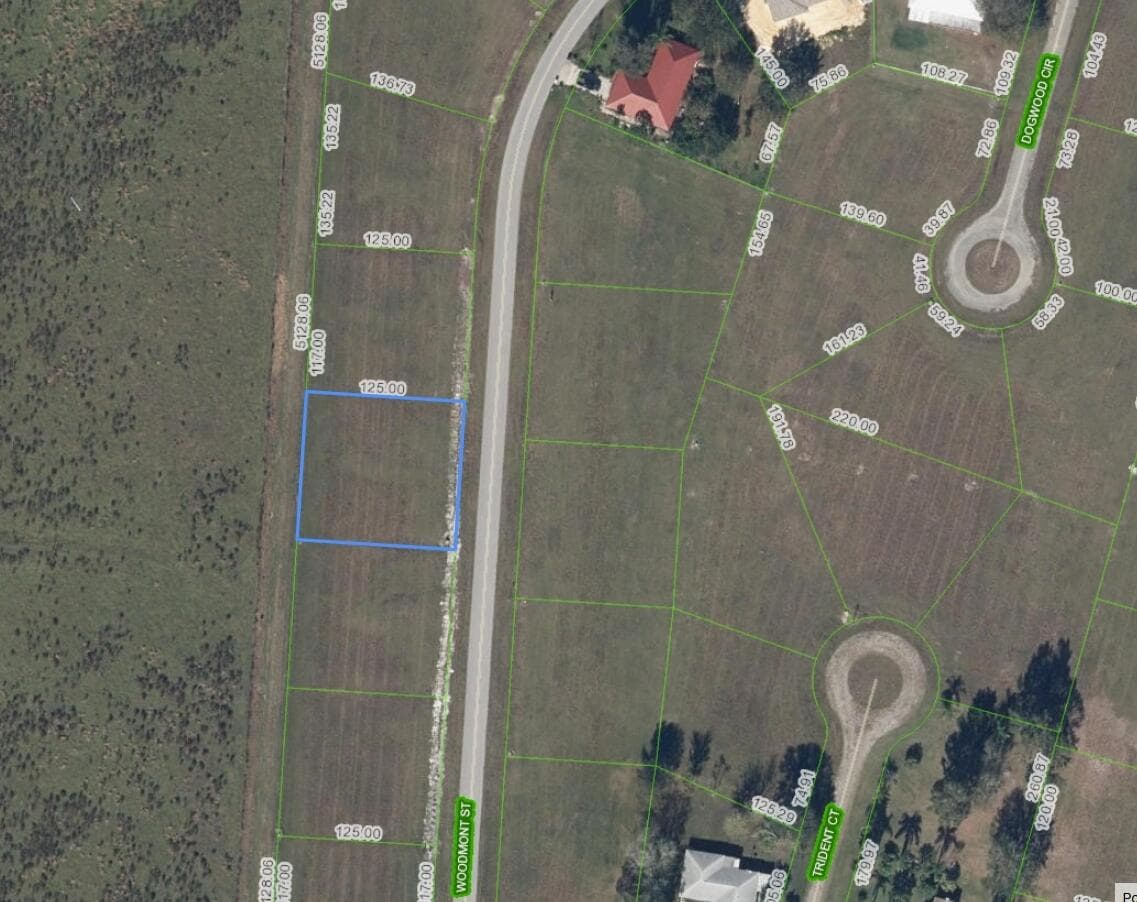 816 Woodmont Street, Sebring, FL 33876 — photo