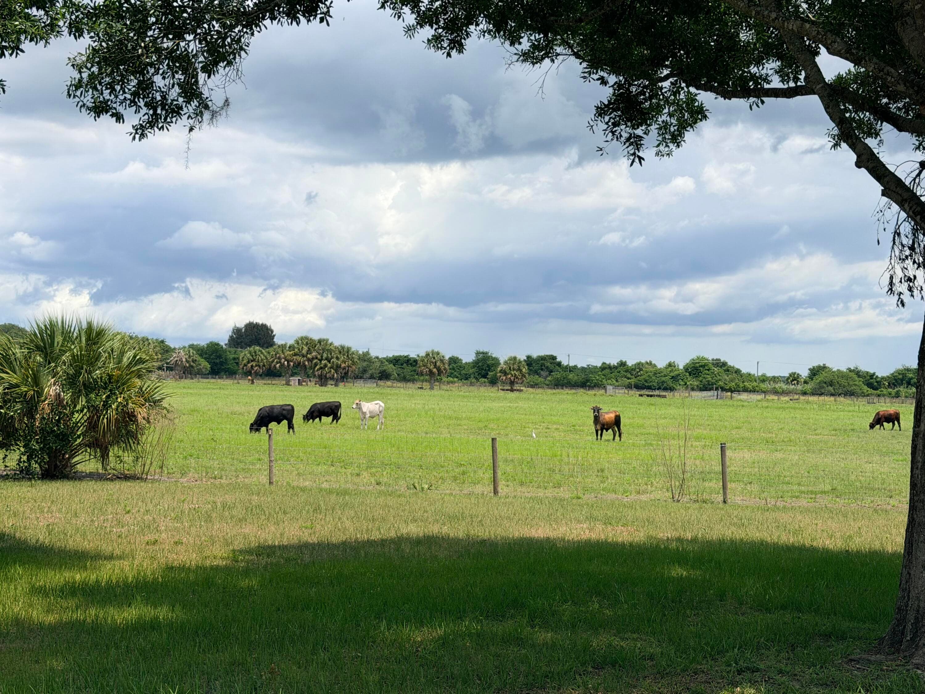 1206 SE 10th Street, Okeechobee, FL 34974 — photo 3 of 46