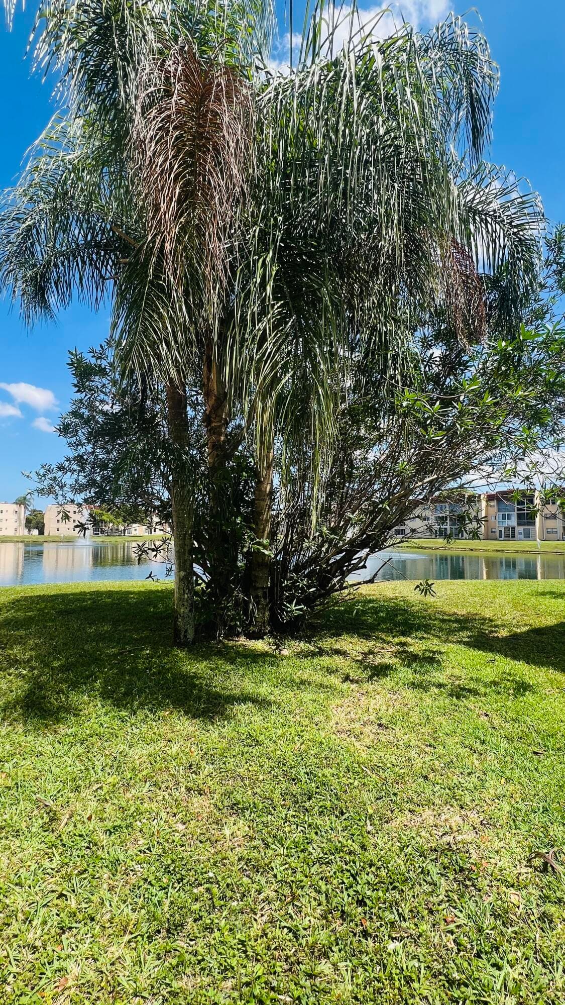 8920 Sunrise Lakes Boulevard 208, Sunrise, FL 33322 — photo 5 of 18