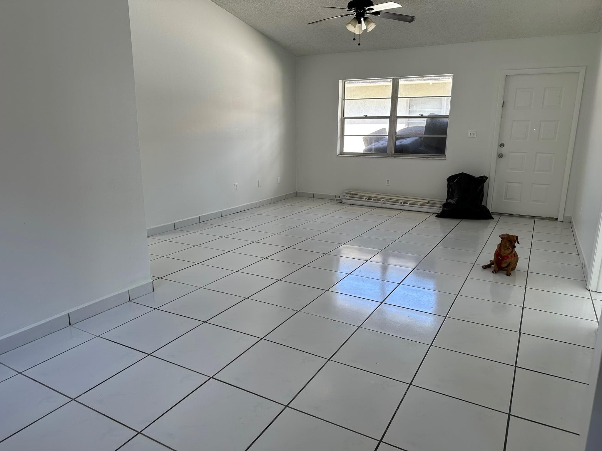 1705 Adams Street 1705, Hollywood, FL 33020 — photo 23 of 28
