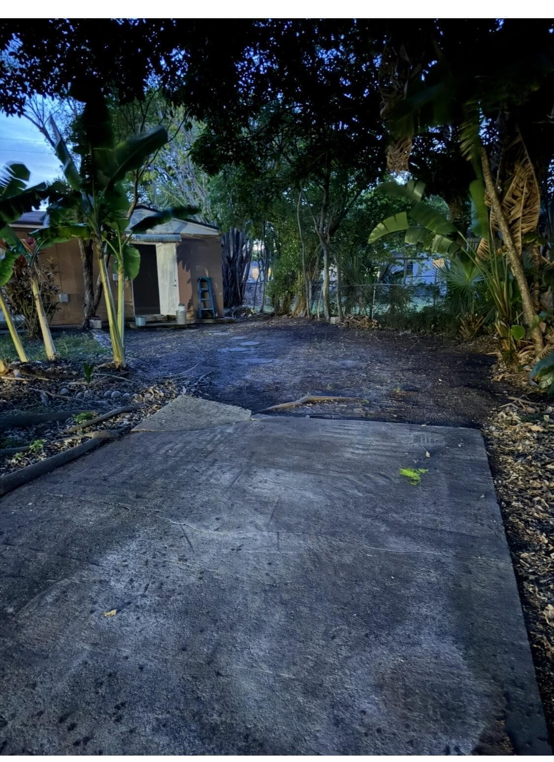 2025 Delphia Street, West Palm Beach, FL 33401 — photo 4 of 20