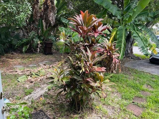 2025 Delphia Street, West Palm Beach, FL 33401 — photo 5 of 20