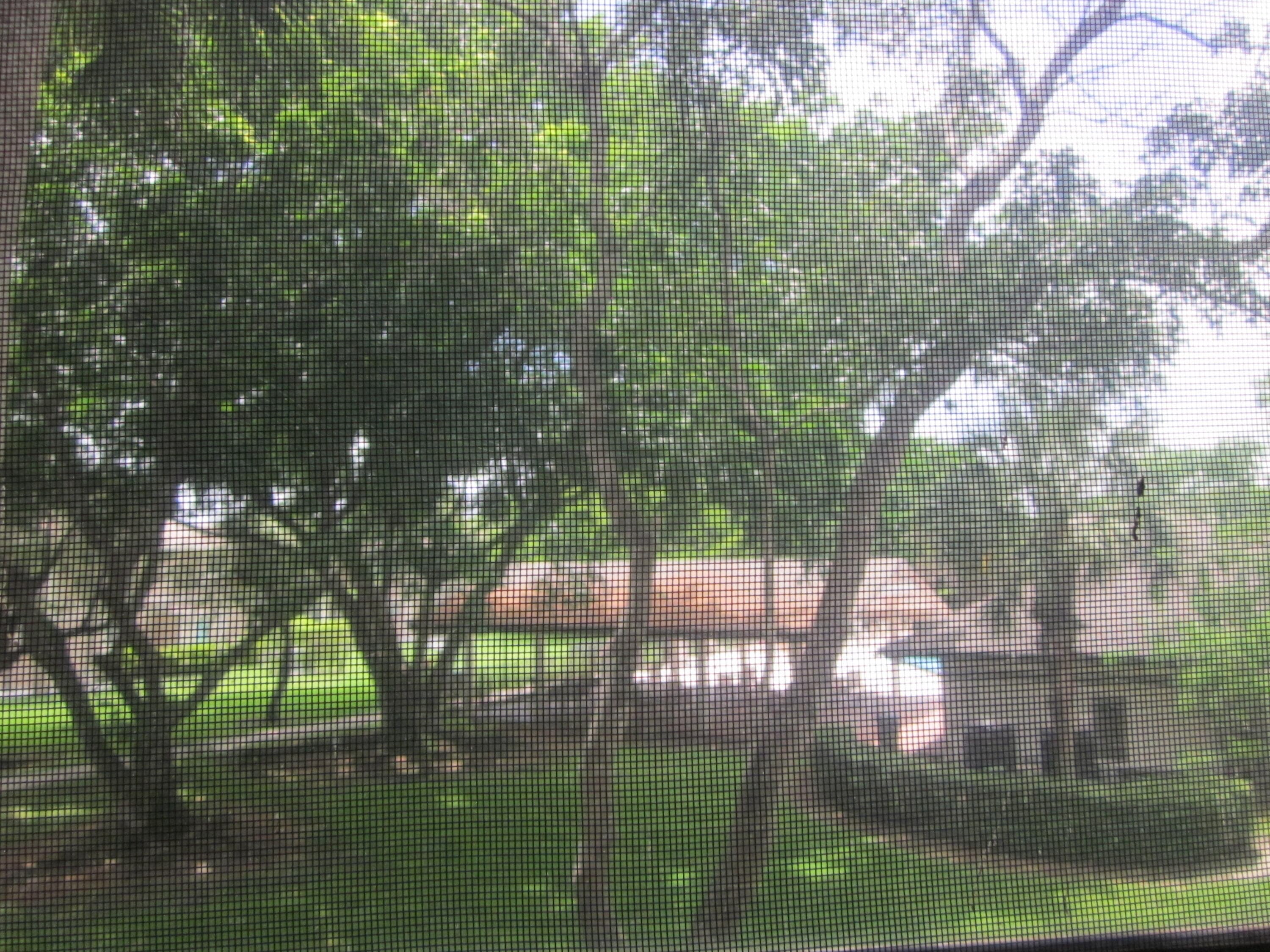 7247 Ashmont Circle 7247, Tamarac, FL 33321 — photo 27 of 43