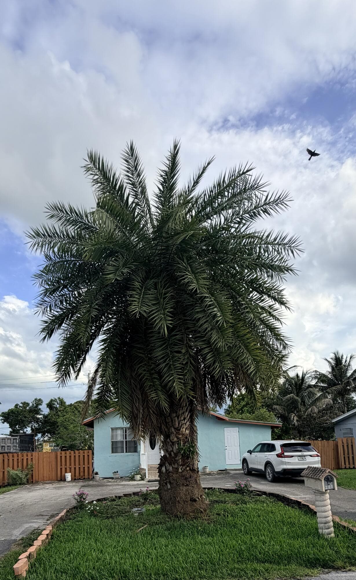 208 NW Avenue H Place, Belle Glade, FL 33430 — photo