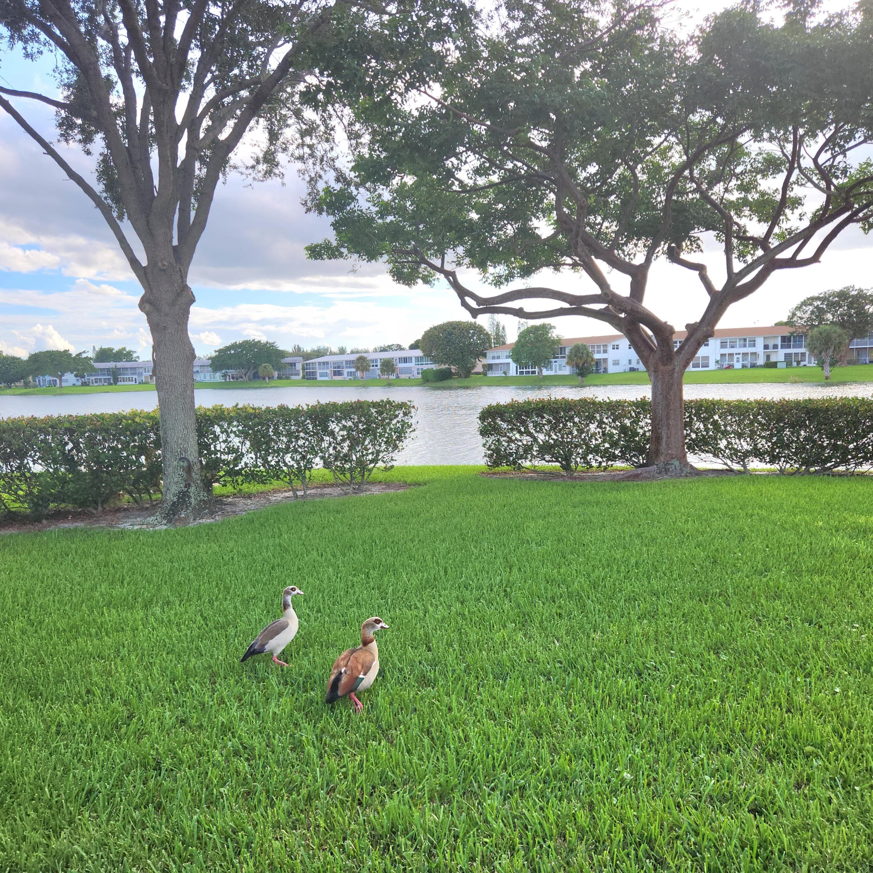 219 Coventry J, West Palm Beach, FL 33417 — photo 39 of 39
