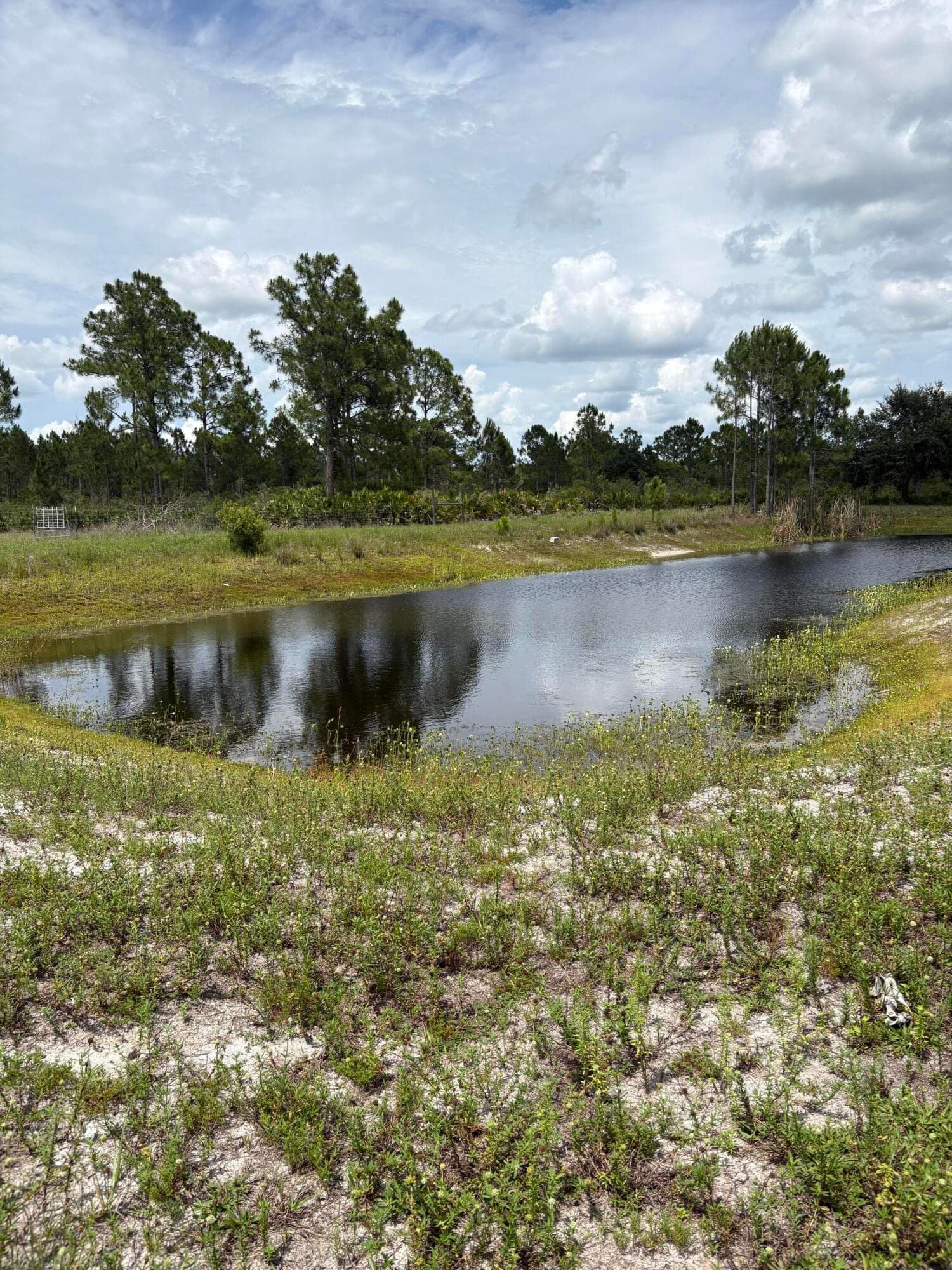 2872 Secretariat Drive, LaBelle, FL 33935 — photo 4 of 12