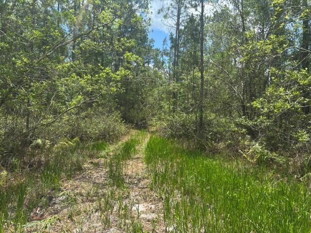 0 Water Road, Clermont, FL 33868 — photo