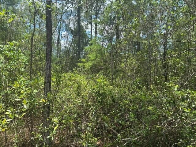 0 Water Road, Clermont, FL 33868 — photo 2 of 3