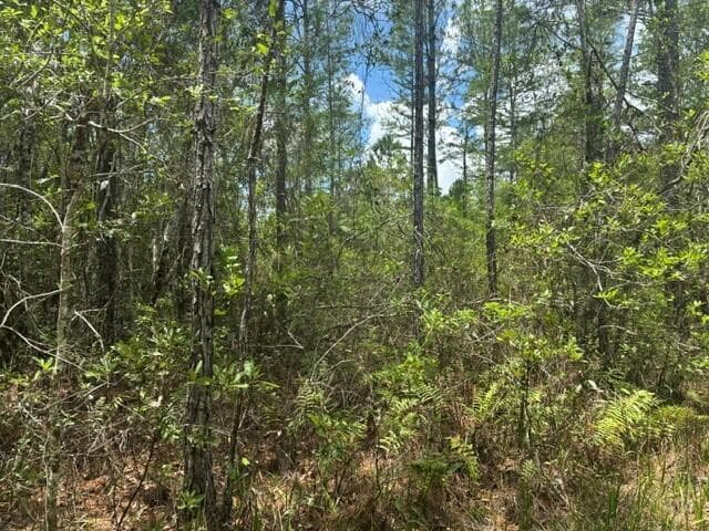 0 Water Road, Clermont, FL 33868 — photo 3 of 3