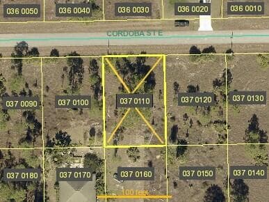 1246 Cordoba Street E, Lehigh Acres, FL 33974 — photo 2 of 9