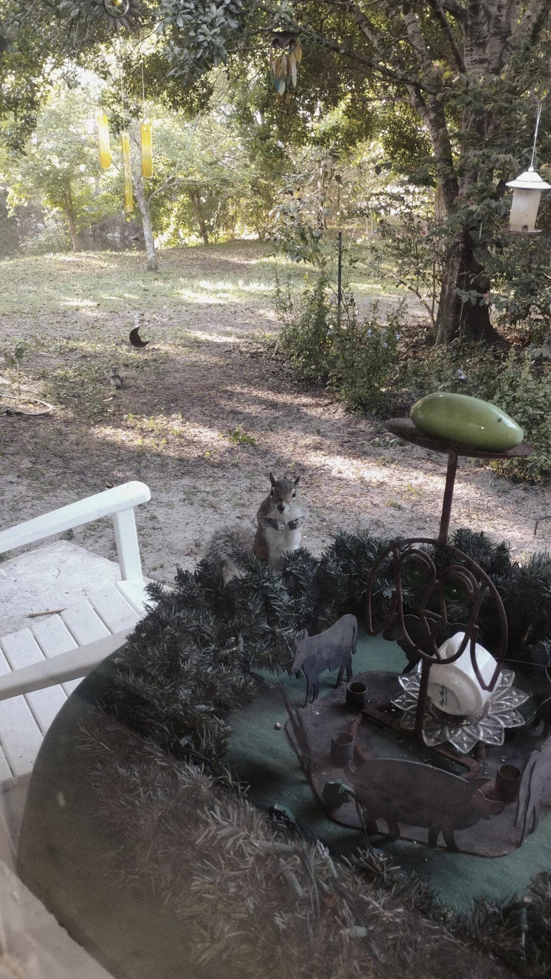 15531 42nd Road N, Loxahatchee Groves, FL 33470 — photo 11 of 62