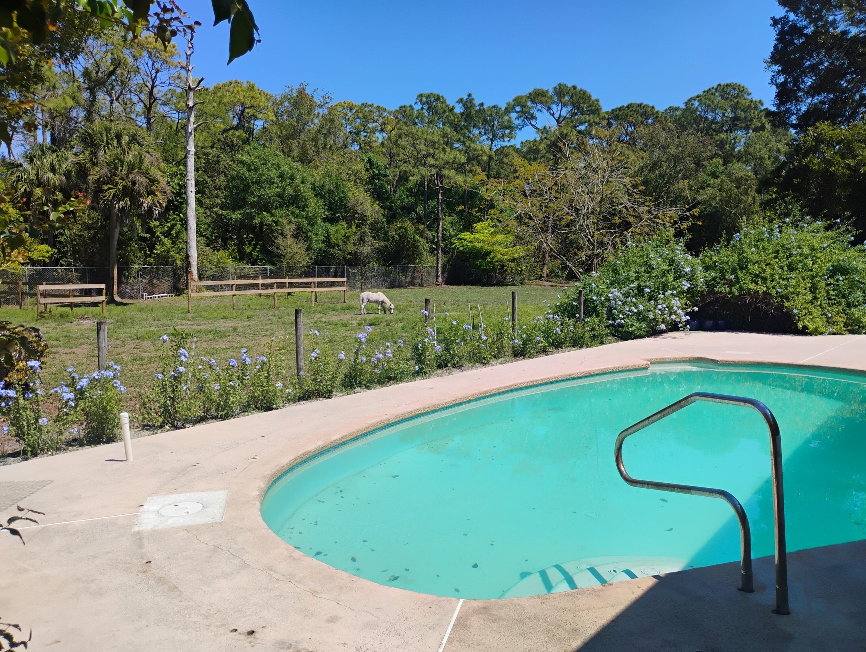 15531 42nd Road N, Loxahatchee Groves, FL 33470 — photo 4 of 62
