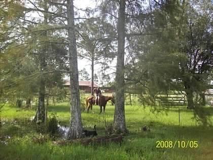 15531 42nd Road N, Loxahatchee Groves, FL 33470 — photo 35 of 62