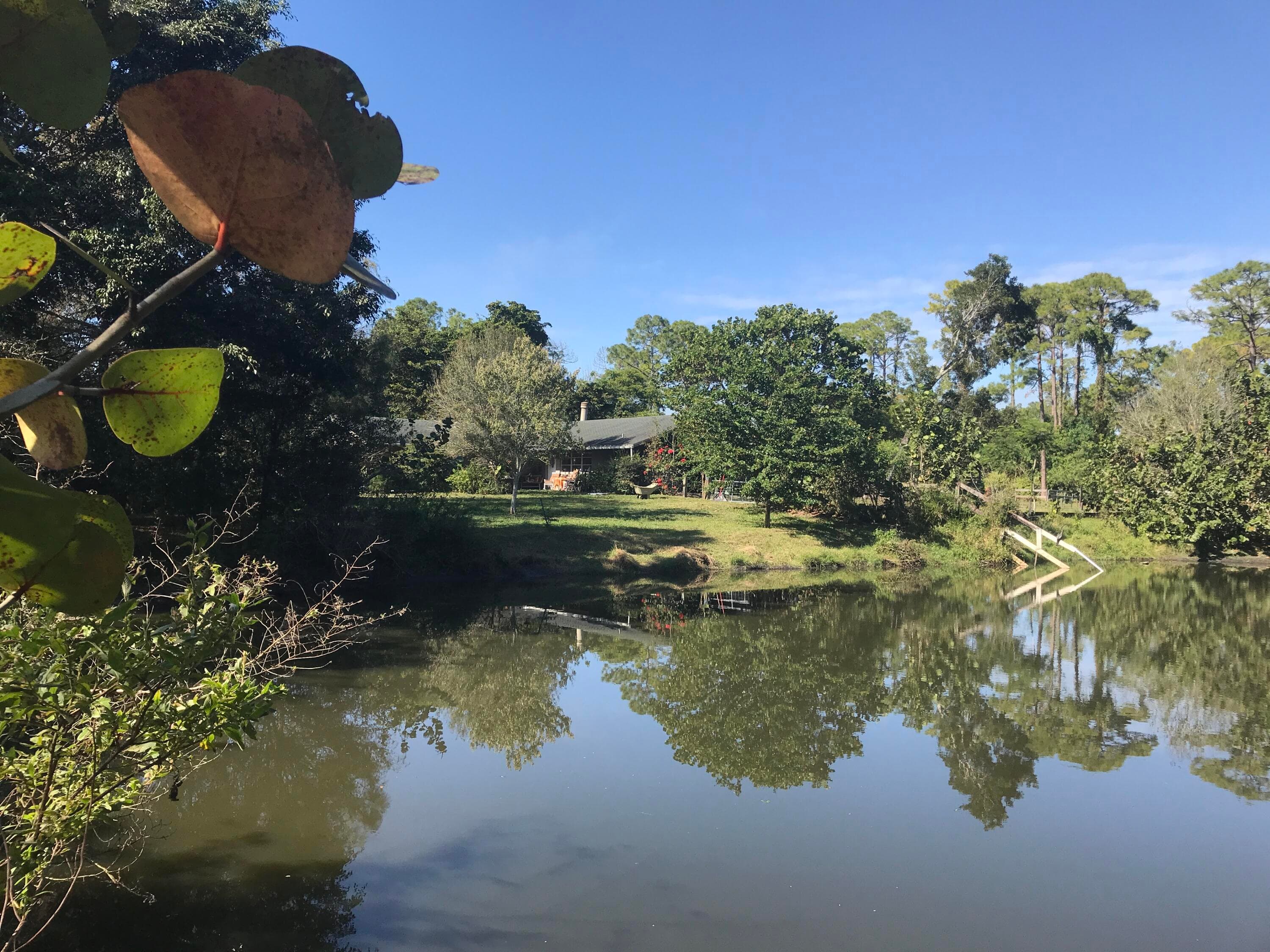 15531 42nd Road N, Loxahatchee Groves, FL 33470 — photo 41 of 62