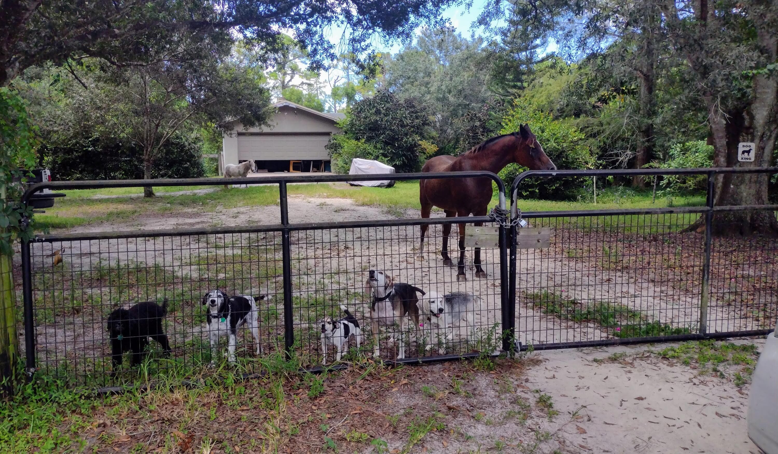 15531 42nd Road N, Loxahatchee Groves, FL 33470 — photo 43 of 62