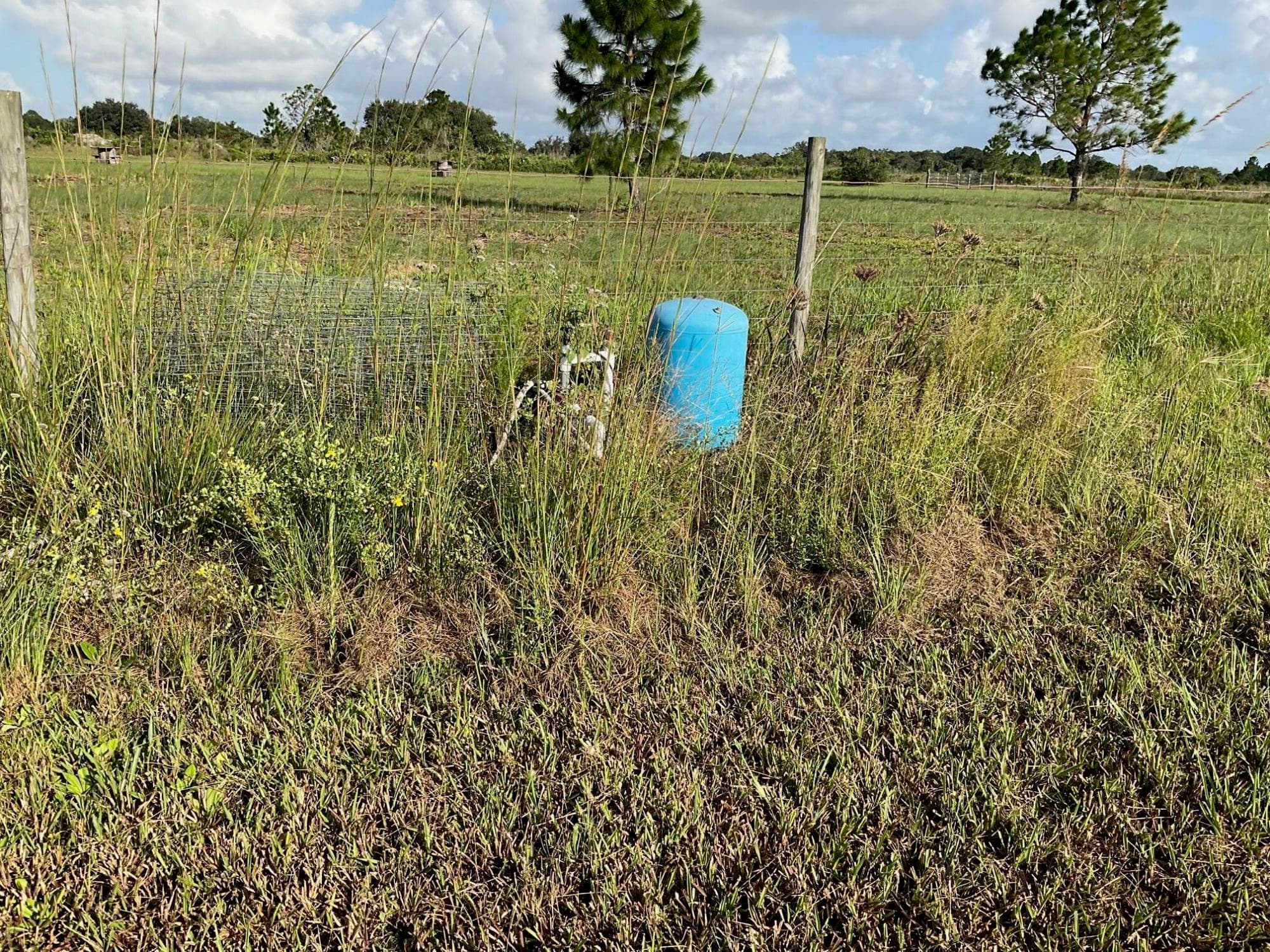 17229 NW 314th Street, Okeechobee, FL 34972 — photo 6 of 9