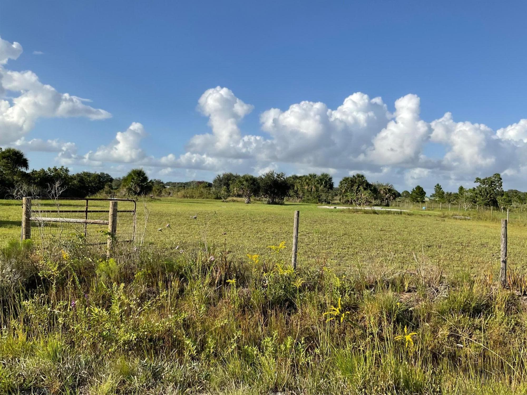 17229 NW 314th Street, Okeechobee, FL 34972 — photo 8 of 9