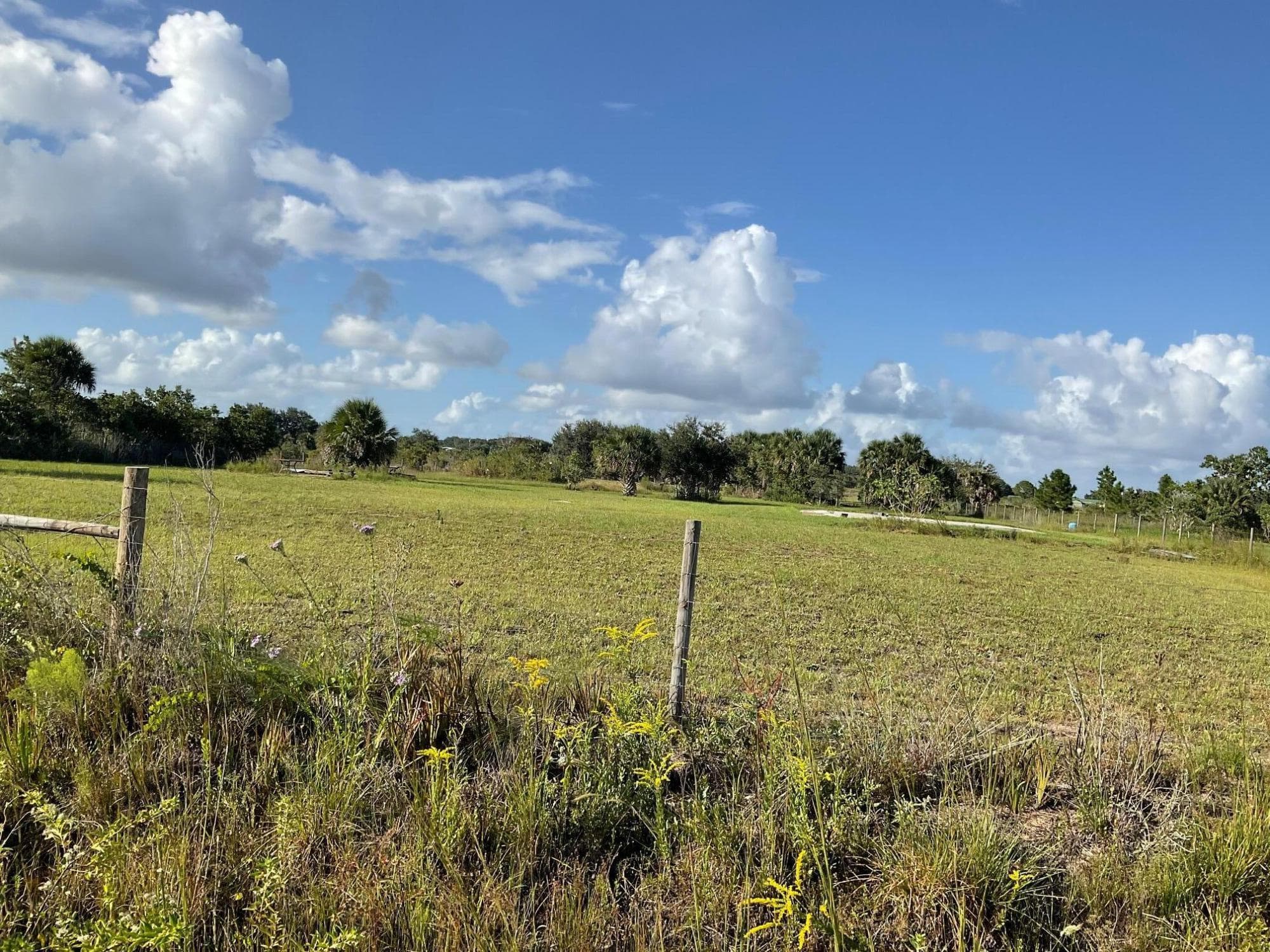 17229 NW 314th Street, Okeechobee, FL 34972 — photo 9 of 9