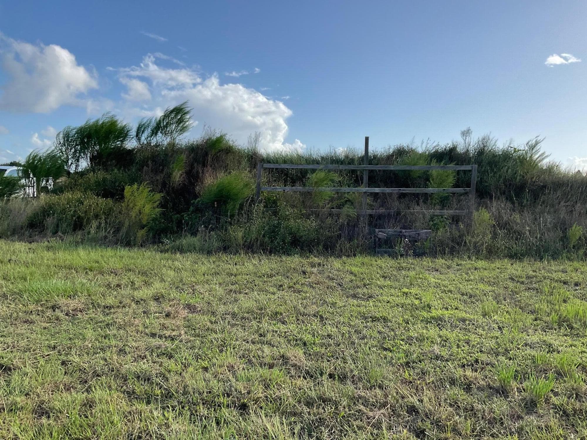 17229 NW 314th Street, Okeechobee, FL 34972 — photo 5 of 9