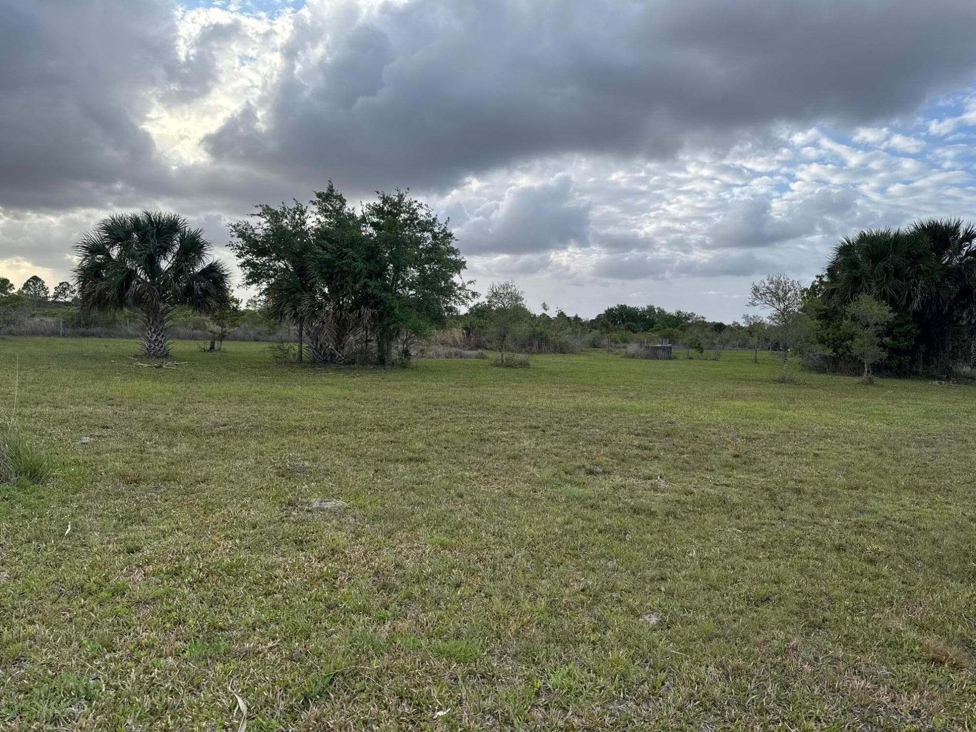 17229 NW 314th Street, Okeechobee, FL 34972 — photo 4 of 9