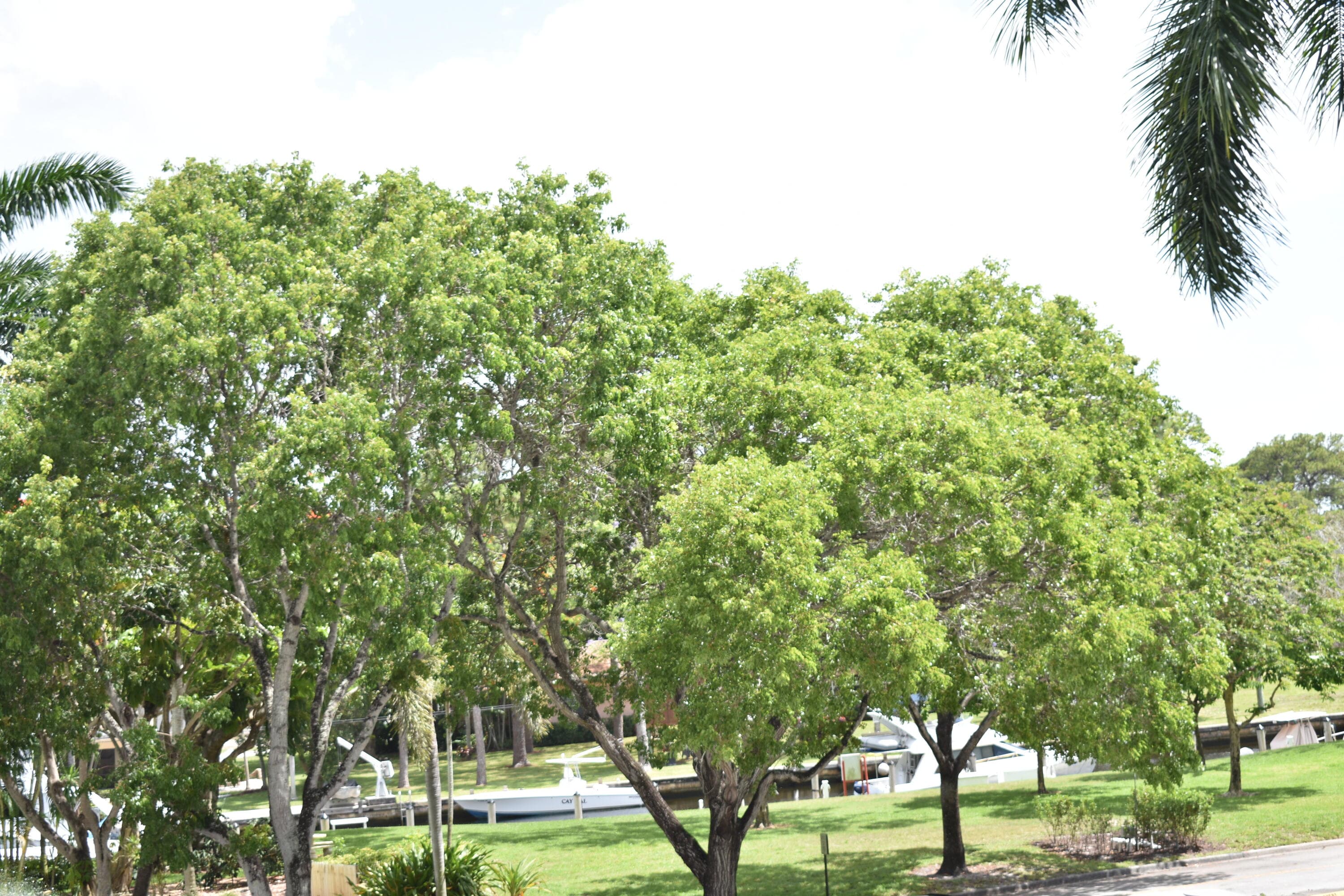 1101 River Reach Drive 212, Fort Lauderdale, FL 33315 — photo 17 of 34