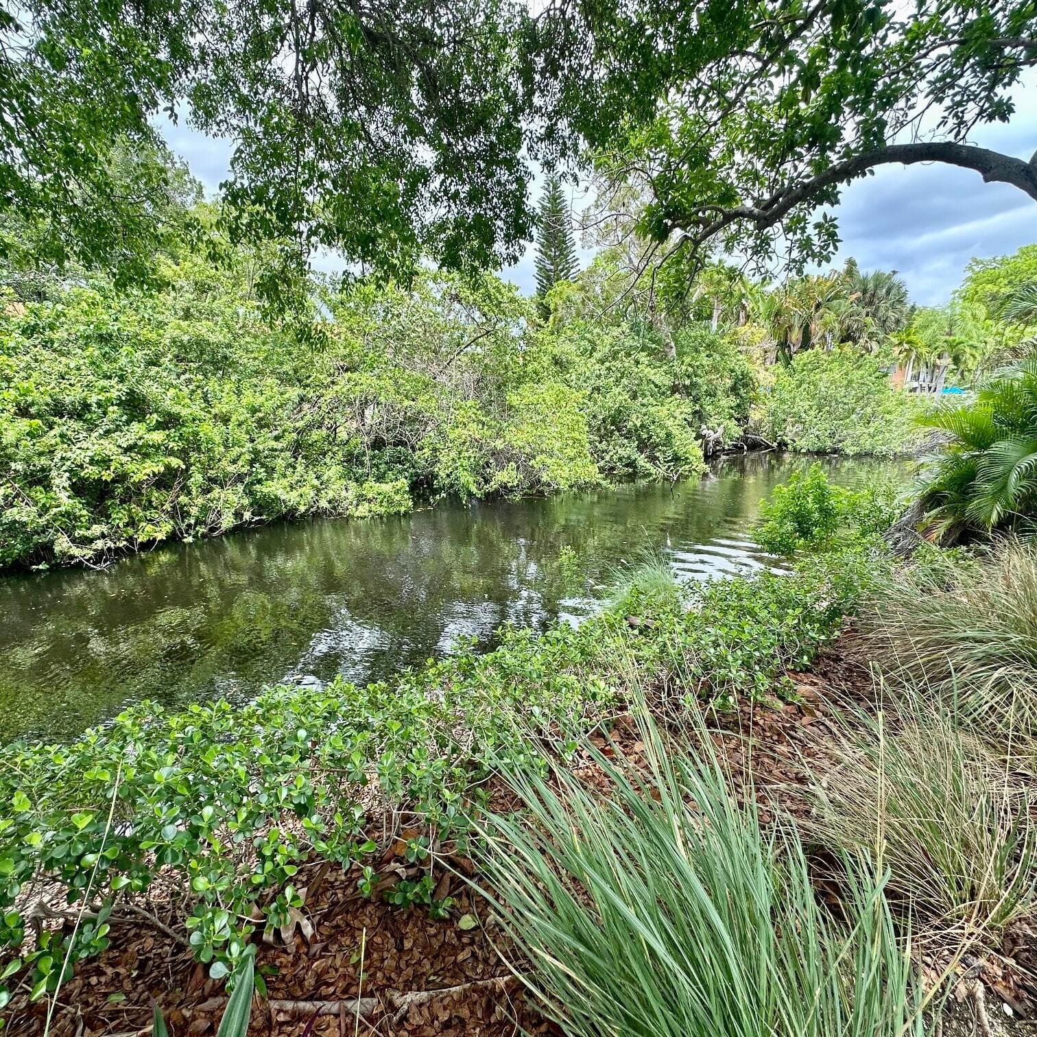1800 N Andrews Avenue 2a, Fort Lauderdale, FL 33311 — photo 20 of 28