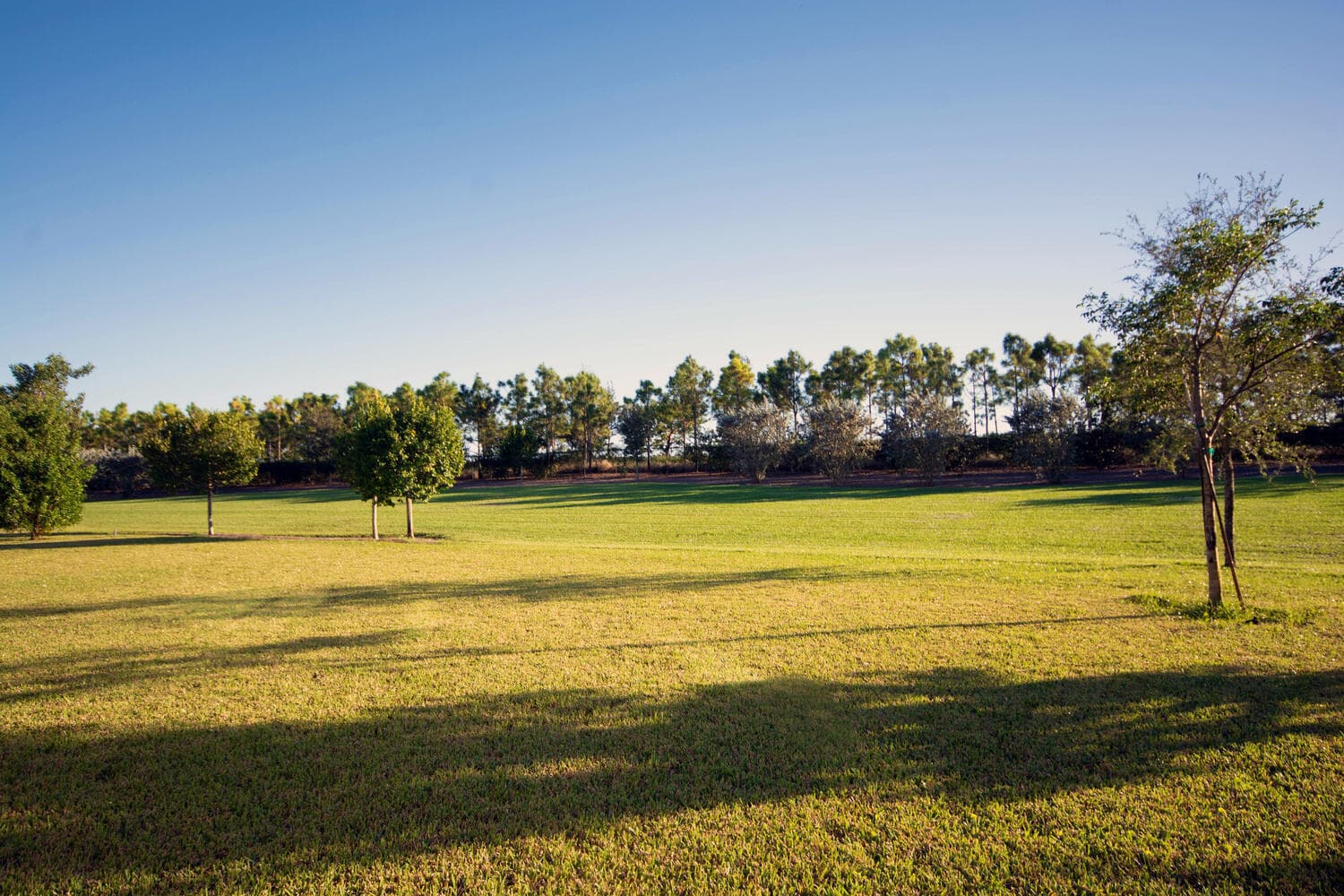 714 Hookline Circle, Loxahatchee, FL 33470 — photo 45 of 62