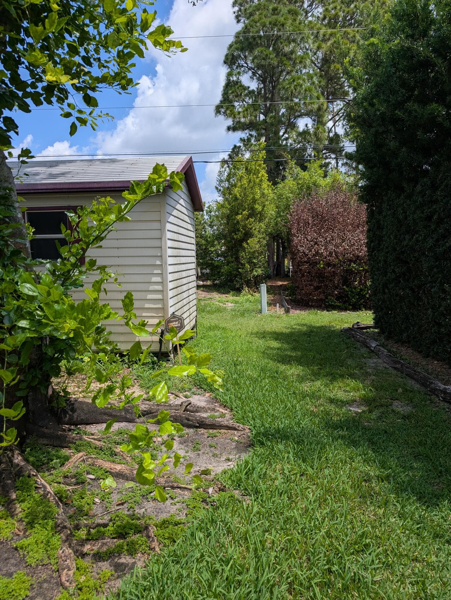 1036 18th Street SW, Vero Beach, FL 32962 — photo 7 of 8