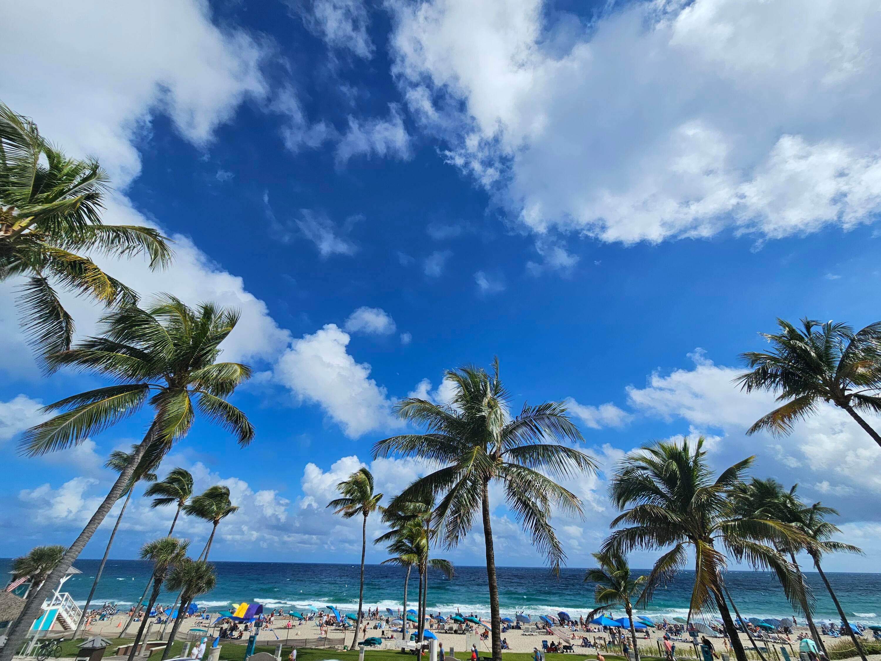 233 SE 21st Avenue 101, Deerfield Beach, FL 33441 — photo