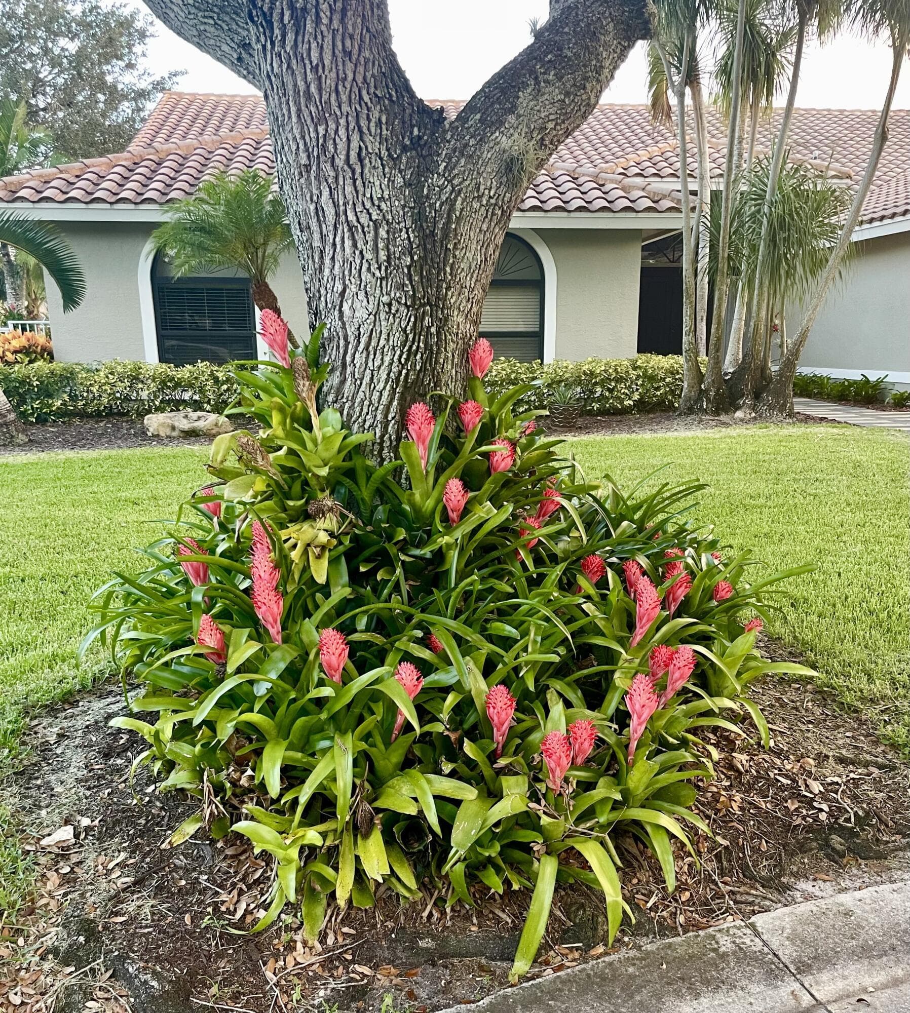 4704 NW 99th Lane, Coral Springs, FL 33076 — photo 45 of 45