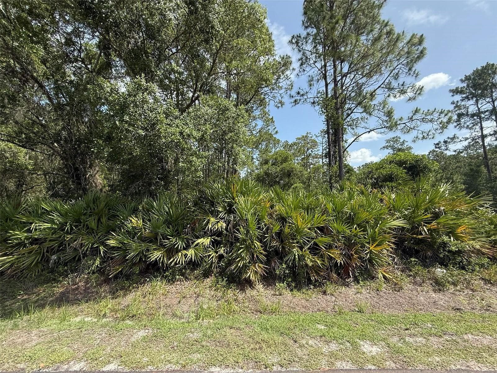132 Millican Road, Palatka, FL 32177 — photo