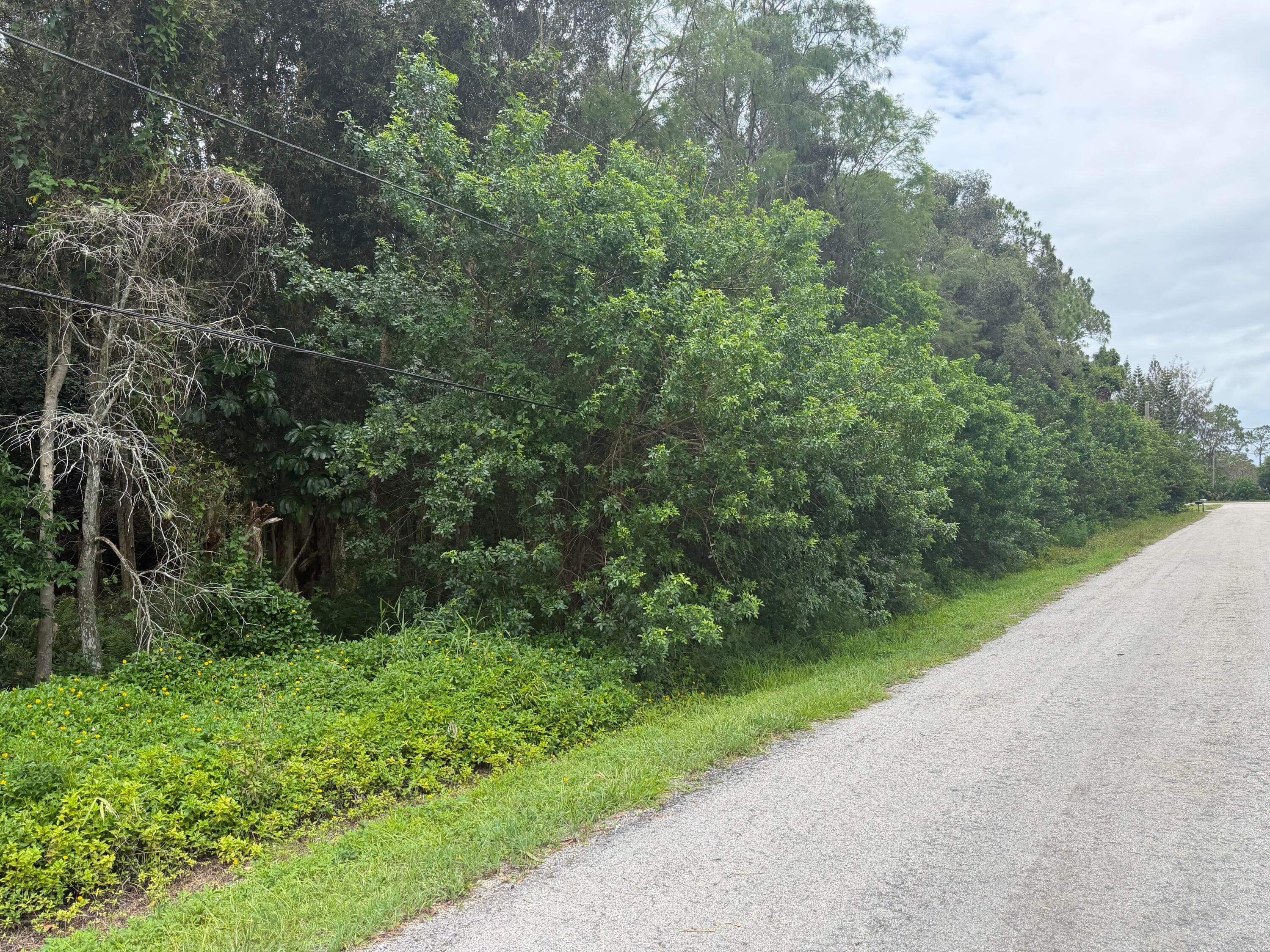 Xxxx E Aquaduct Drive, The Acreage, FL 33470 — photo 2 of 6