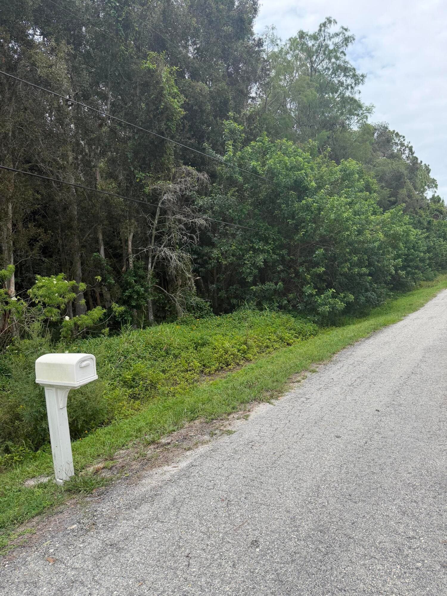 Xxxx E Aquaduct Drive, The Acreage, FL 33470 — photo 5 of 6