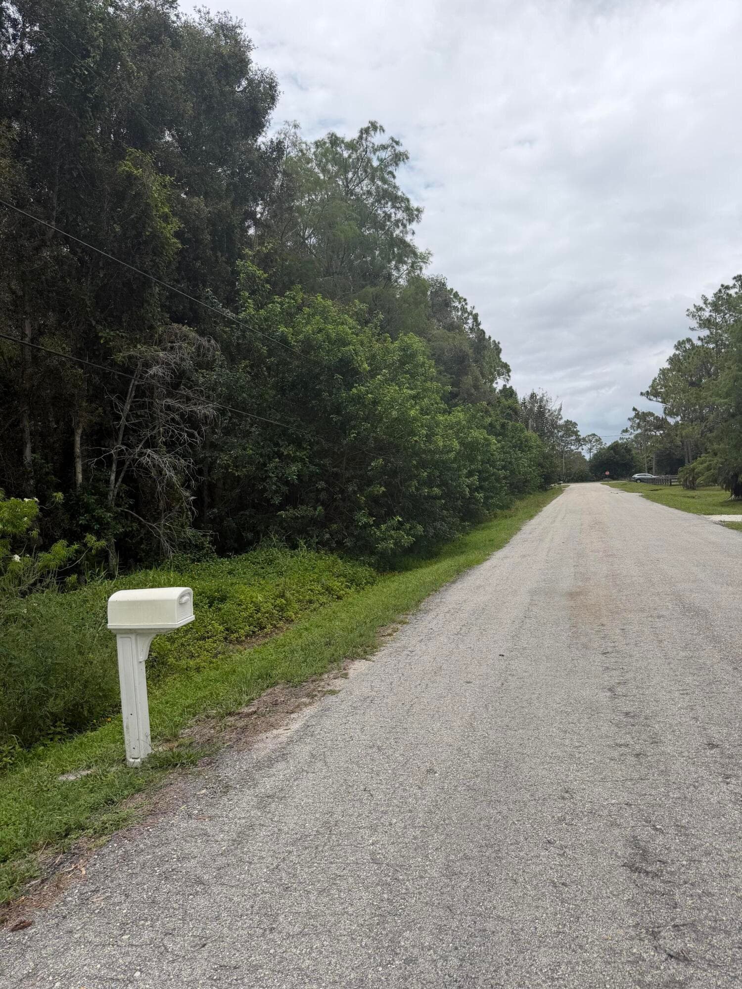 Xxxx E Aquaduct Drive, The Acreage, FL 33470 — photo 6 of 6