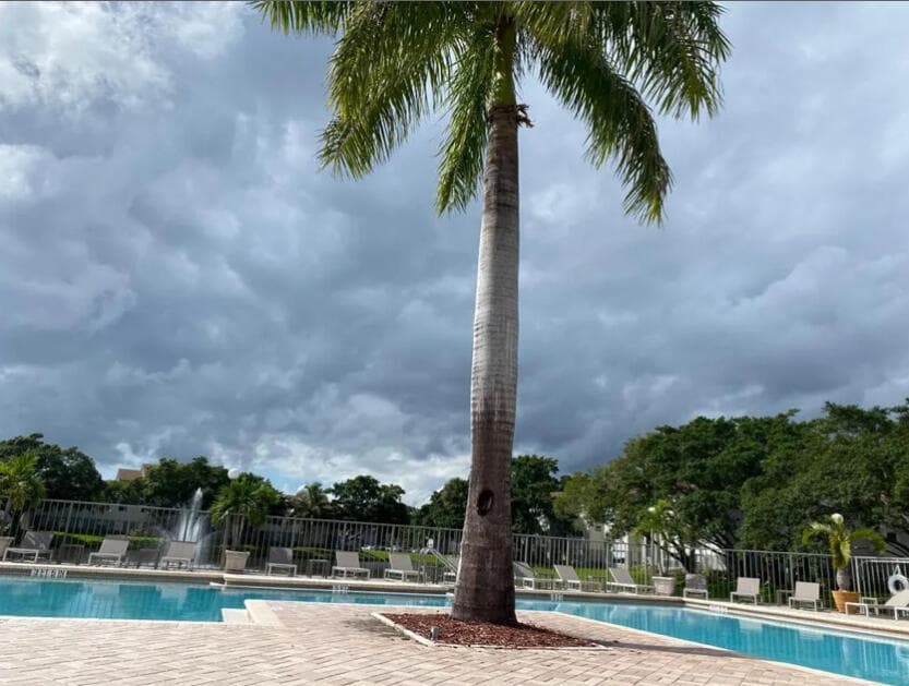 1401 Village Boulevard 236, West Palm Beach, FL 33409 — photo 14 of 14