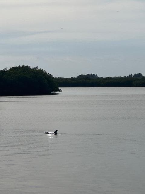 Lot 12 Riverview Court, Vero Beach, FL 32963 — photo 9 of 9
