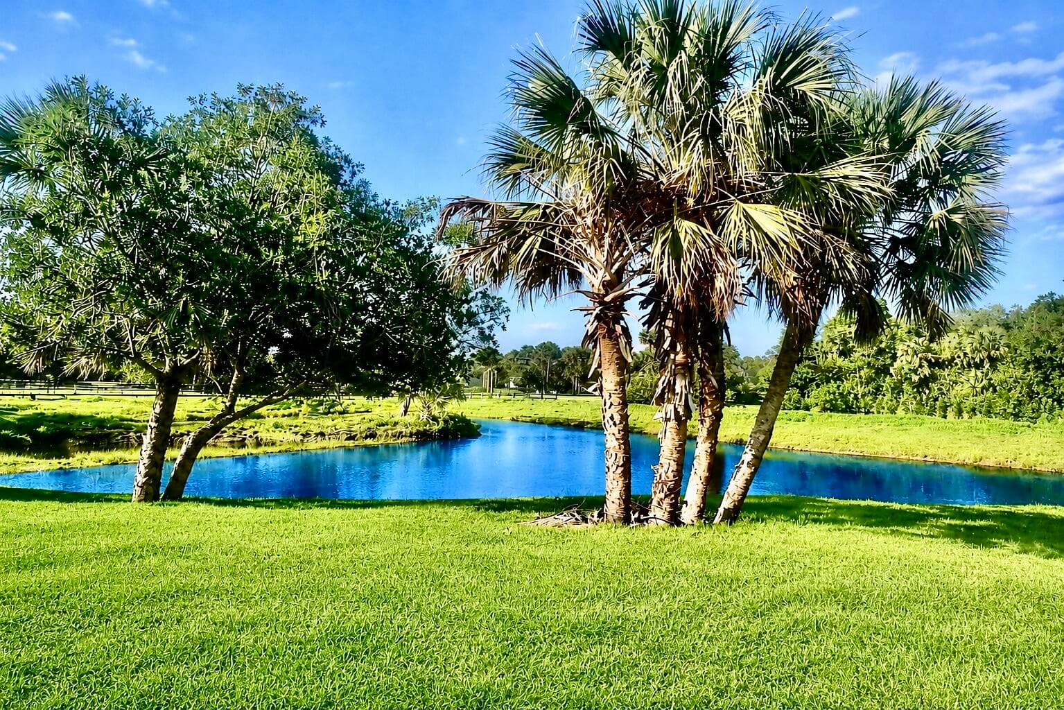 2452 SE 130th Way, Okeechobee, FL 34974 — photo 13 of 18