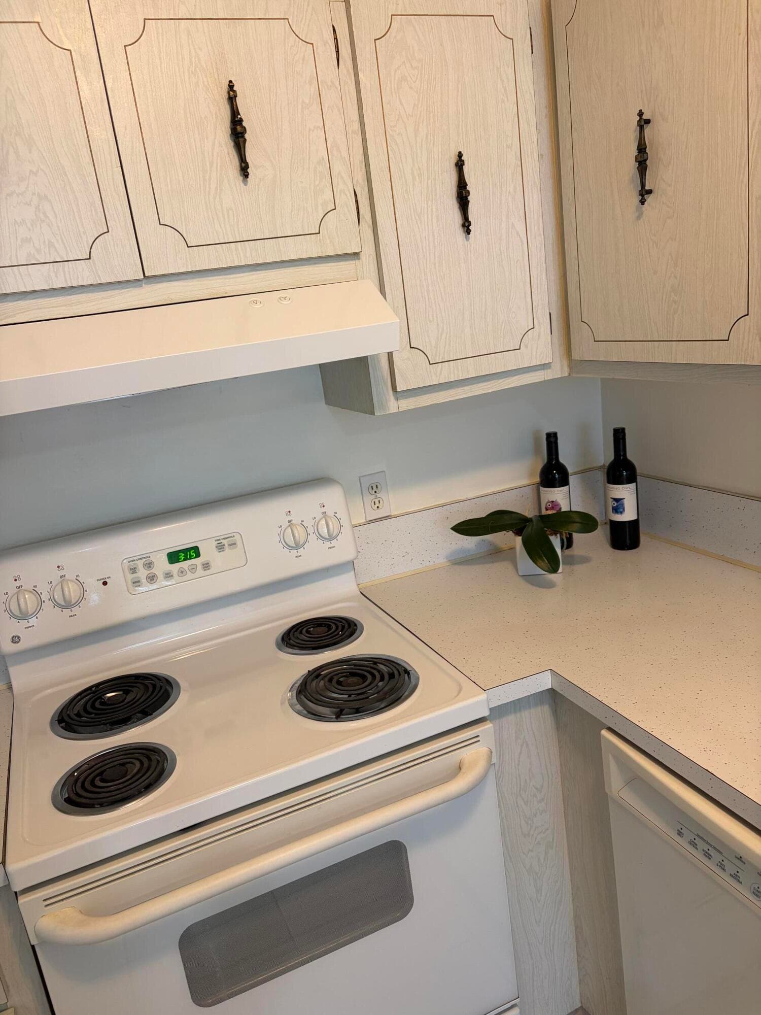 2520 Black Olive Boulevard 203, Delray Beach, FL 33445 — photo 4 of 23