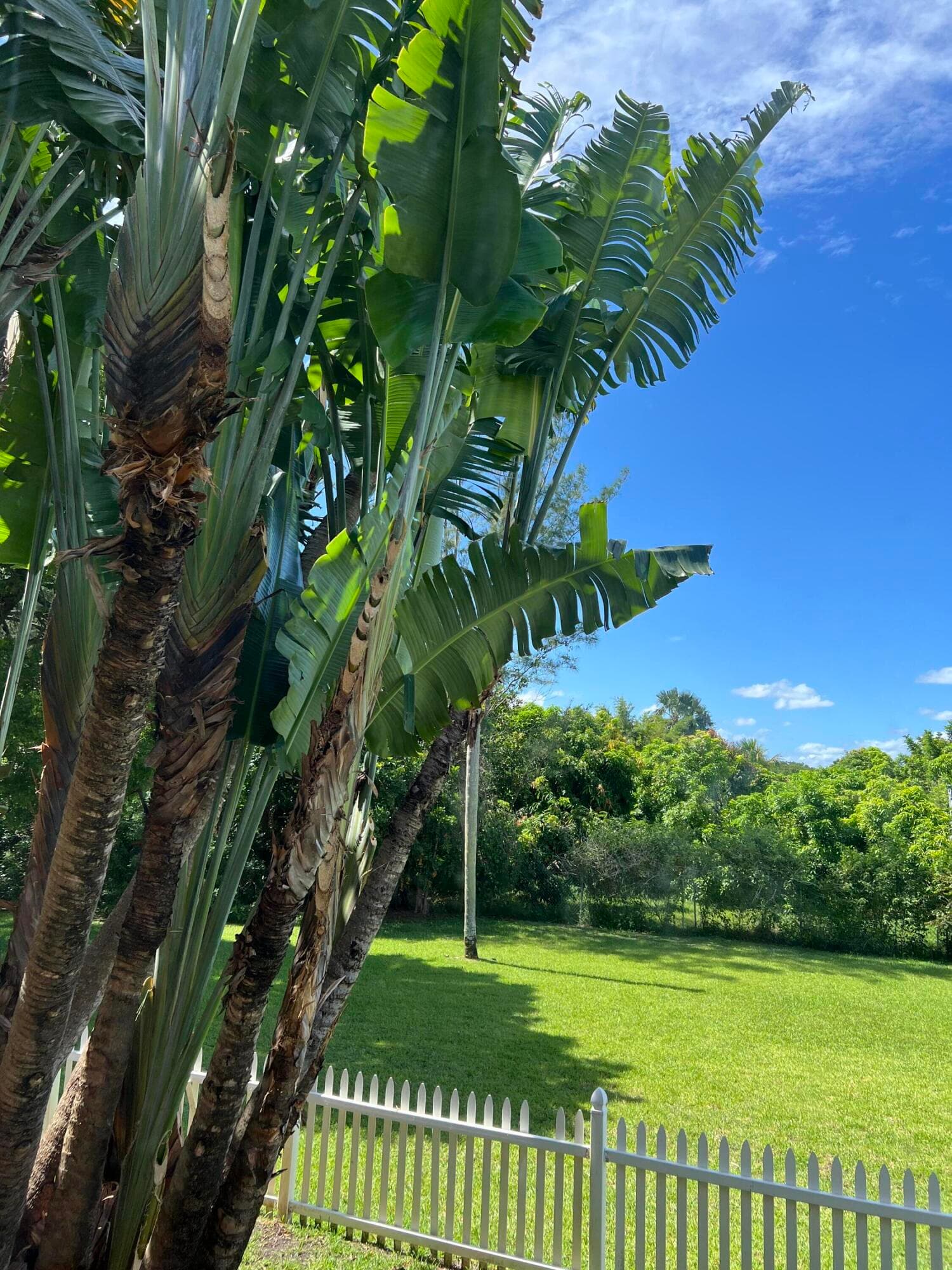 10400 W Tara Boulevard, Boynton Beach, FL 33437 — photo 26 of 89
