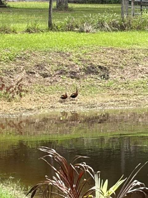 6289 S Header Canal Road, Port St. Lucie, FL 34987 — photo 24 of 53