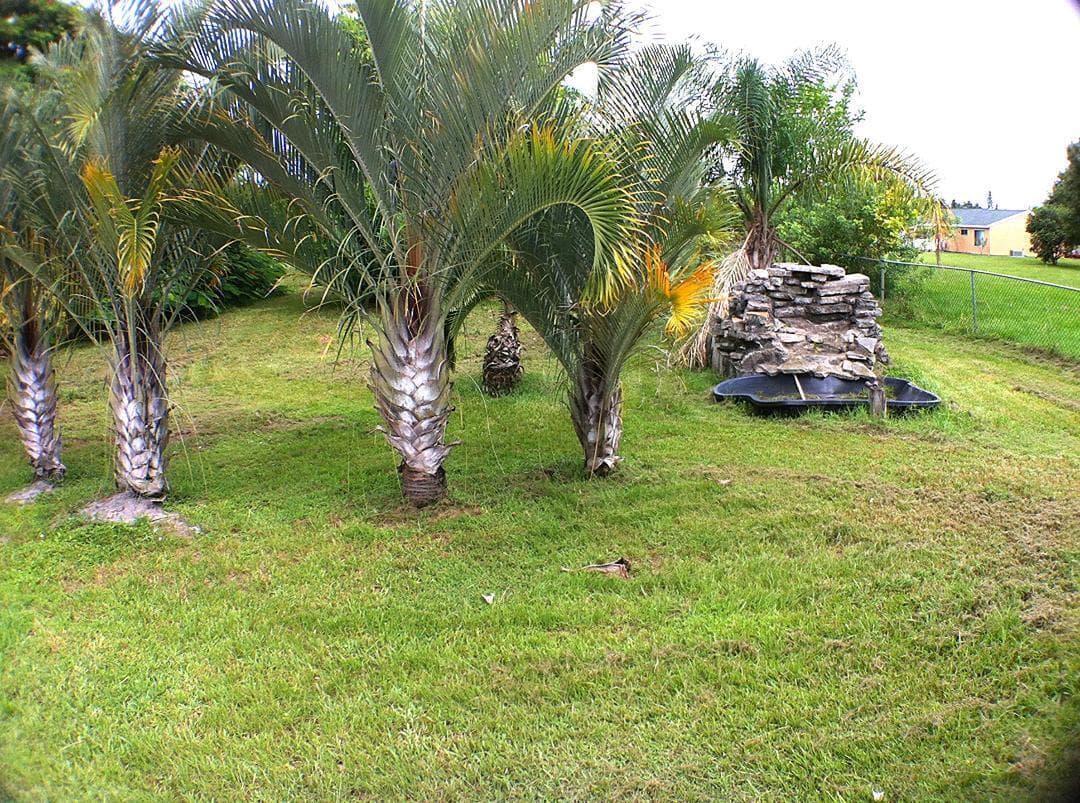 3033 SW Denton Street, Port St. Lucie, FL 34953 — photo 18 of 20