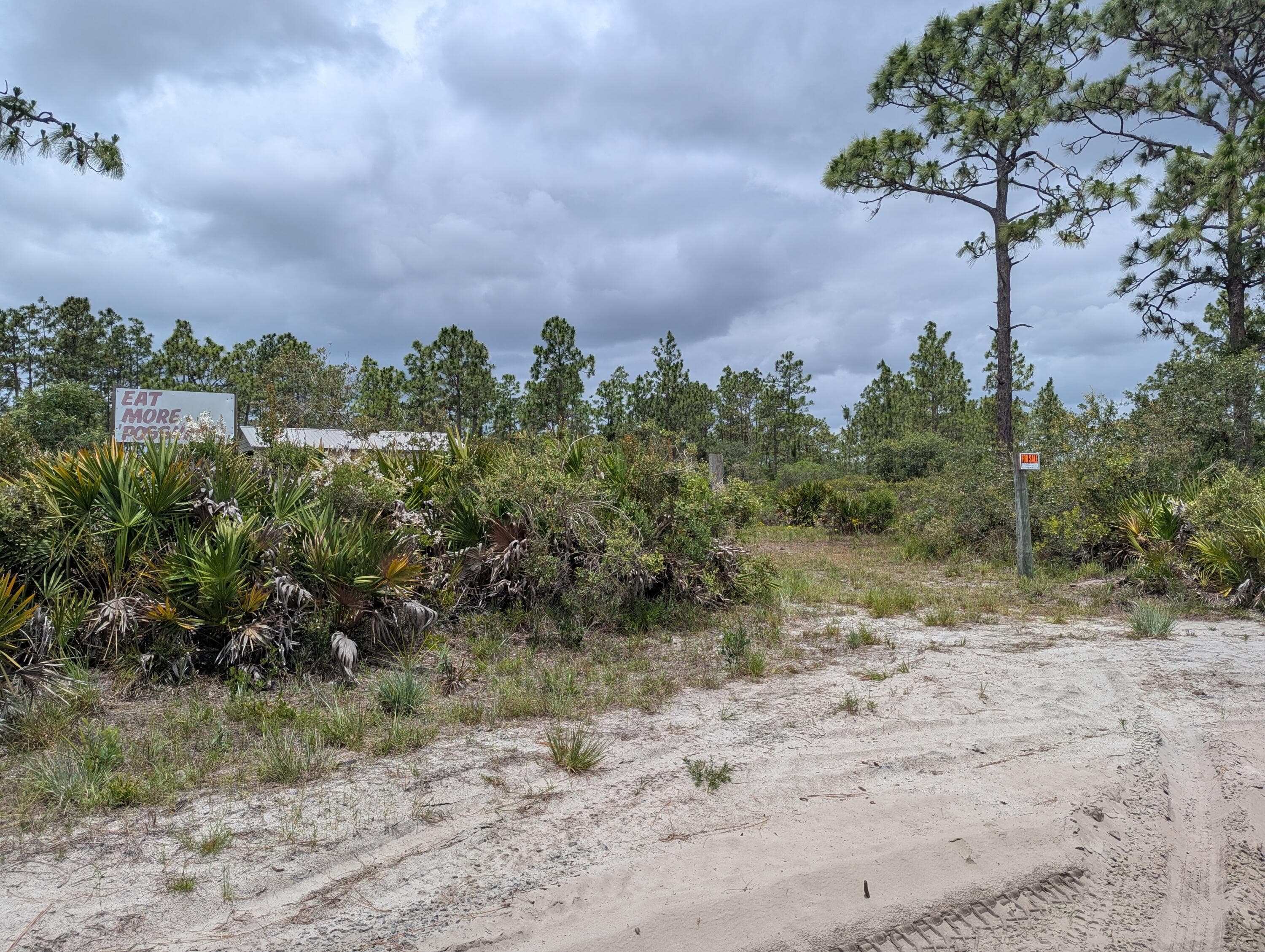 0 Holopaw Groves Road, St. Cloud, FL 34771 — photo 31 of 48